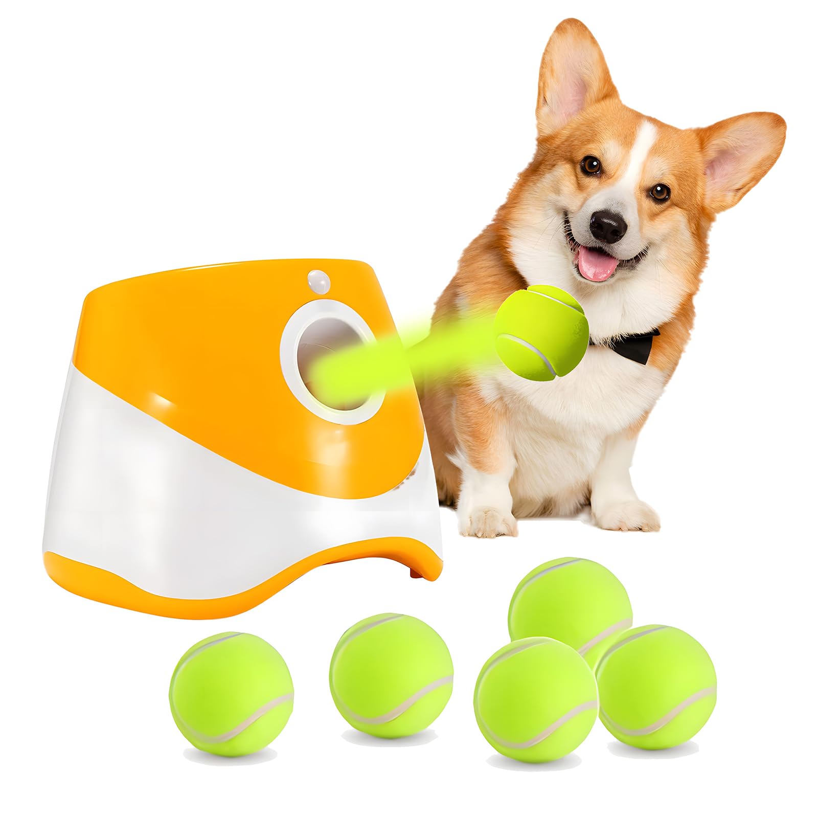 Lanceur de balles interactif p - Catapult Launcher Toy avis et prix